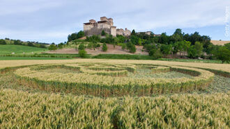 NDEs & Nonsense Language  / Crop Circles & Healing