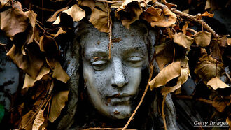 The Living Dead: The Walking Corpse Syndrome