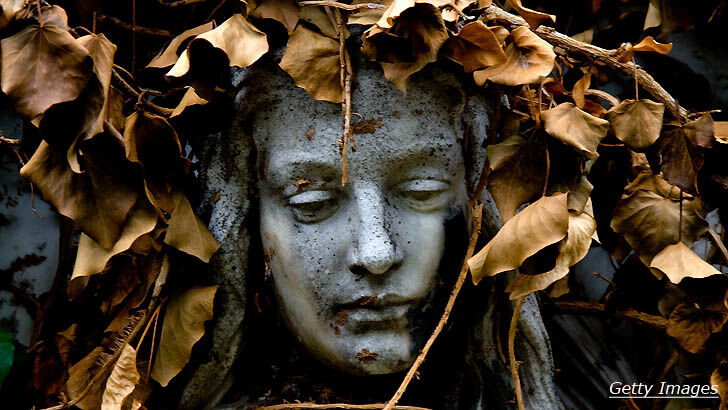 The Living Dead: The Walking Corpse Syndrome