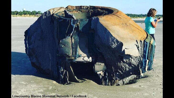 Odd Object Washes Ashore in SC