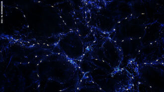 Black Holes Align with Each Other