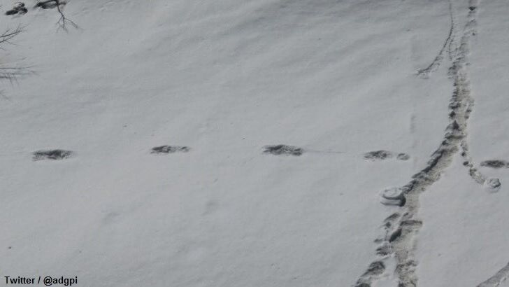 Indian Army Finds Yeti Prints?