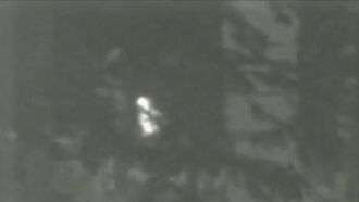 Thermal Video of Baby Bigfoot?