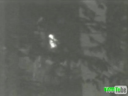 Thermal Video of Baby Bigfoot?