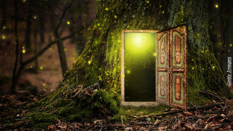 Secret Door Special XXI