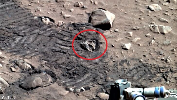 Video: 'Dinosaur Skull' Spotted on Mars