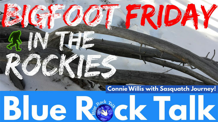 New Video from Connie Willis