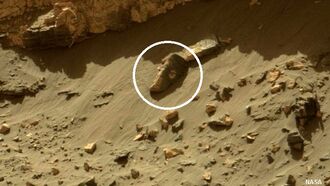 'Statue Head' Spotted on Surface of Mars