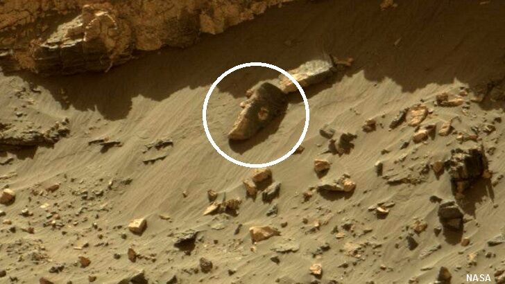 'Statue Head' Spotted on Surface of Mars