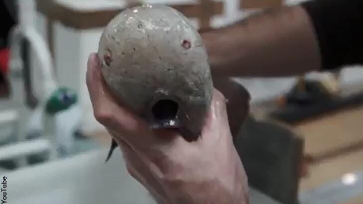 Video: 'Faceless' Fish Snagged by Deep Sea Research Expedition | Coast