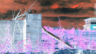 Knapp's News 2/16/20