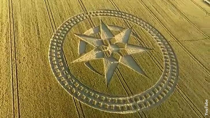 Incredible Video Showcases the Crop Circles of 2016