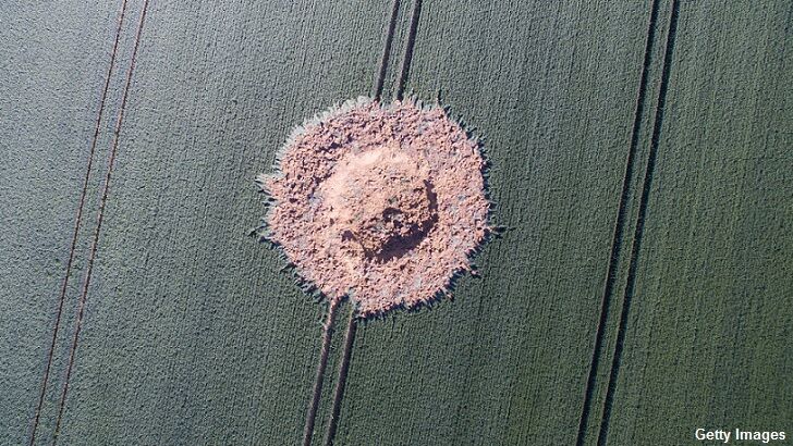 WWII Bomb Explodes in German Field