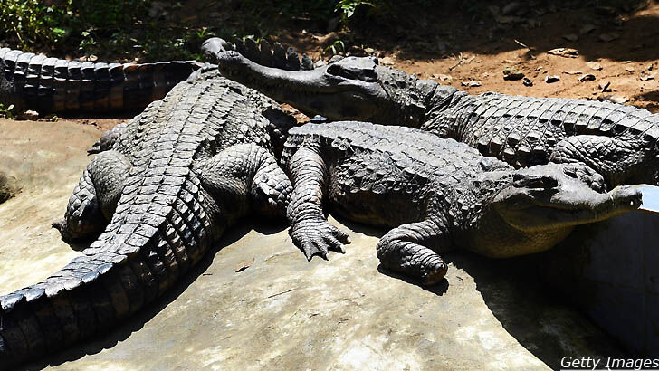 Crocodiles to Guard Death Row Convicts
