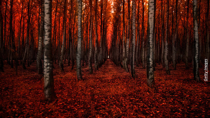 Travel & the Paranormal/ Open Lines