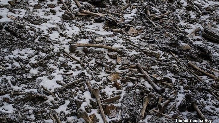 'Skeleton Lake' DNA Study Produces Puzzling Results