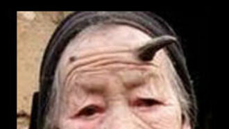 The Year in Quirky Photos