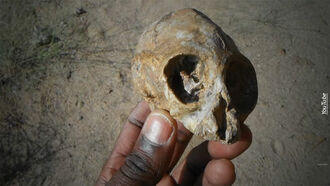 13-Million-Year-Old Primate Skull Discovered