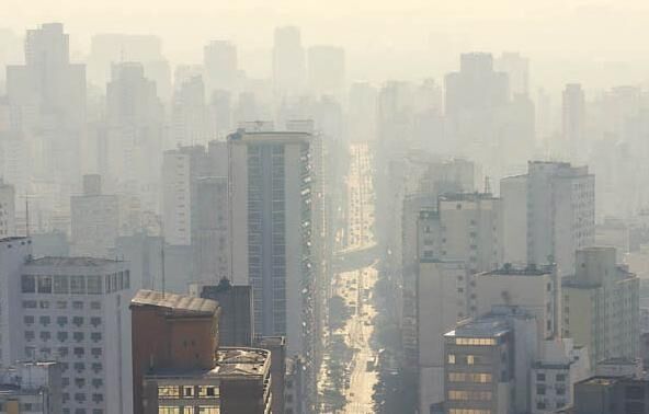 Knapp's News 8/22/10