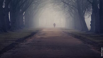 Afterlife Experiences/ Open Lines