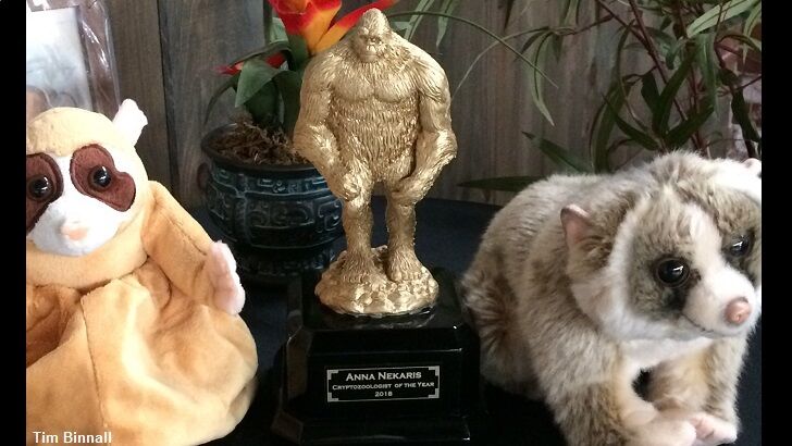 The 'Golden Yeti' Recipient for 2018