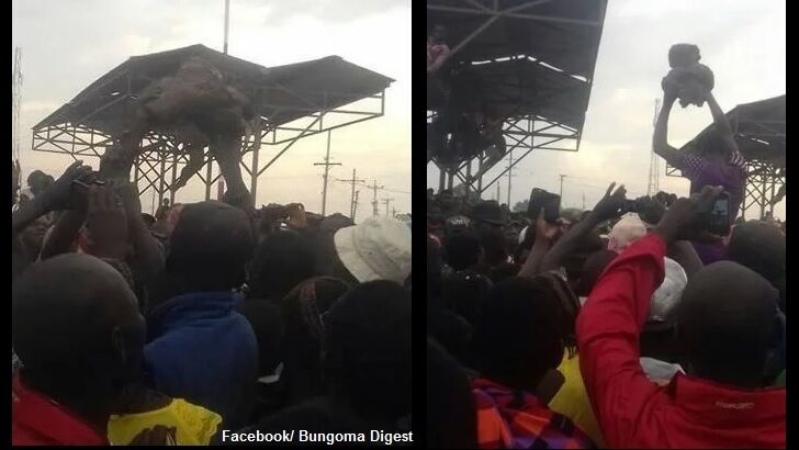 Witch Doctor Finds 'Mystery Creature' Under Bridge in Kenya