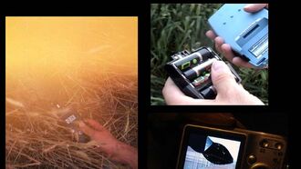 Anomalies Associated with Crop Circles