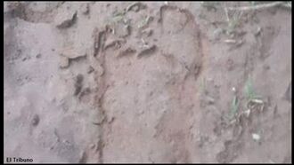 Second Bigfoot Print Found in Argentina?