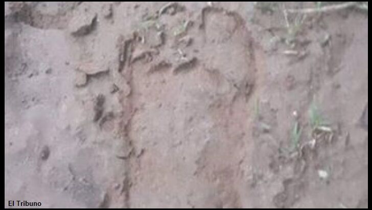 Second Bigfoot Print Found in Argentina?