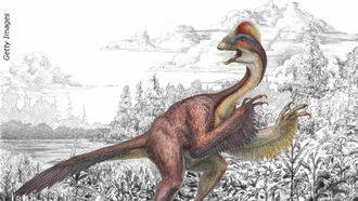 New Dino: "Chicken from Hell"