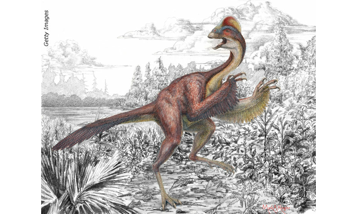 New Dino: "Chicken from Hell"