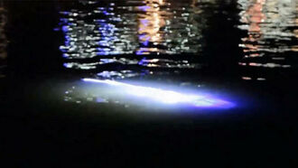 Strange Glowing Squid-like Creature