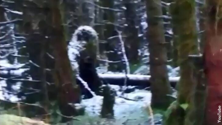 Bigfoot Photographed in Northern Ireland?