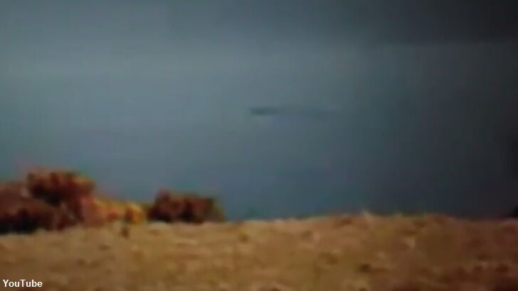 Webcam Watcher Spots Nessie?