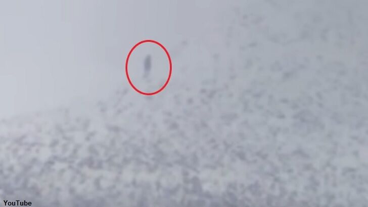 Watch: Sasquatch Filmed in Utah?