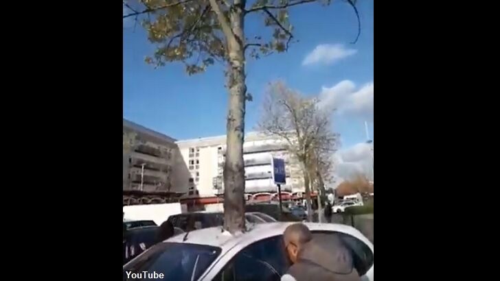 Video: Street Artists Create Amazing 'Car Pierced by Tree' Piece in France