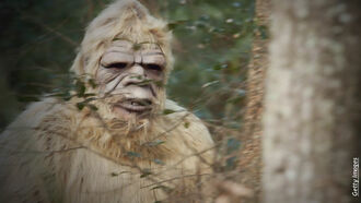 Historical Bigfoot Cases & Open Lines