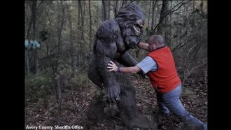 North Carolina Cops Find 'Bigfoot'