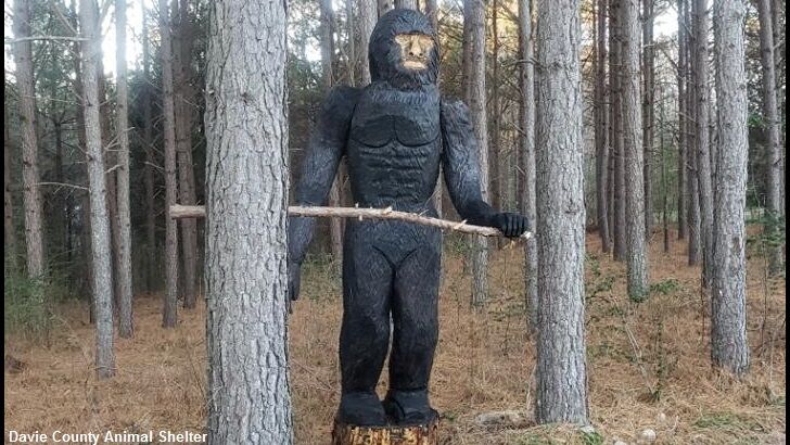 Bigfoot Statue Bewilders Drivers