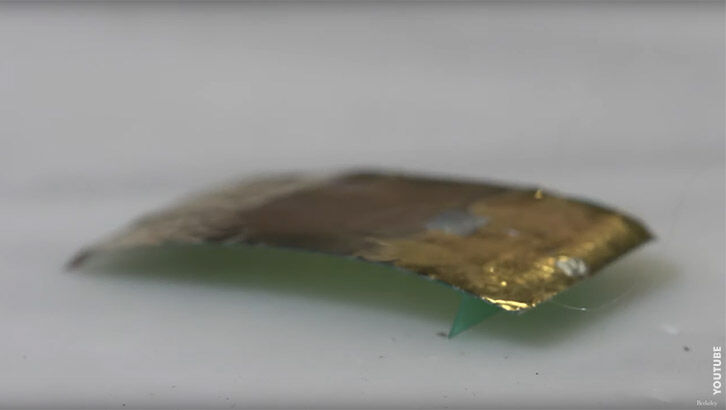 Video: Scientists Create 'Cockroach' Robot