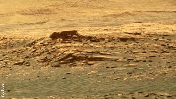 Anomaly Hunters Spot 'Alien' on the Surface of Mars