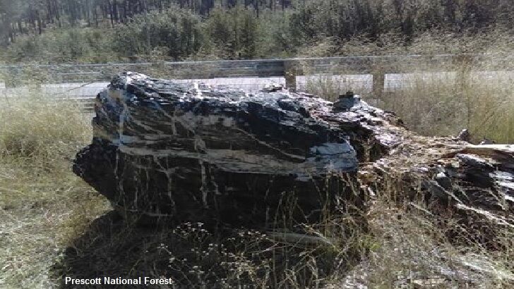 Thieves Steal Iconic One-Ton Boulder From National Forest in Arizona