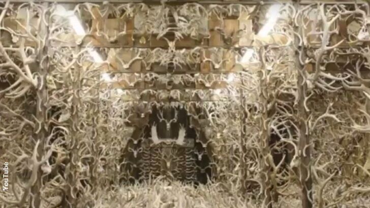 'Horn House' Showcases Massive Antler Collection