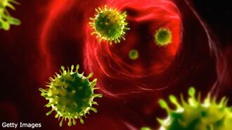 Immunology Breakthroughs / Manifesting