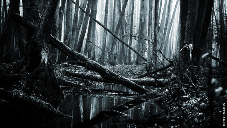 Bayou Killings/ Unmasking of a Cult