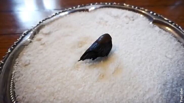 Canadian Hotel Bemoans Stolen Toe