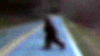 "Knobby," NC Bigfoot?