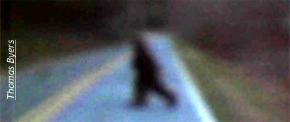 "Knobby," NC Bigfoot?