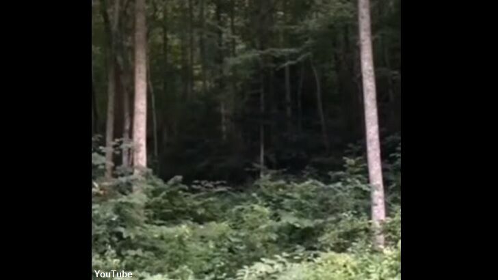 Bigfoot Howl Recorded in Kentucky?