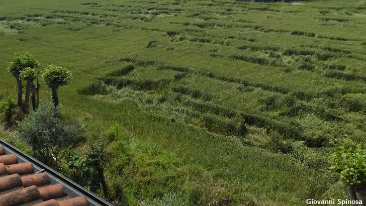 Odd Crop 'Formations' Found